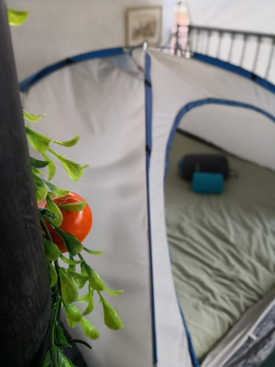 Camping & Travel Antigua Zewnętrze zdjęcie