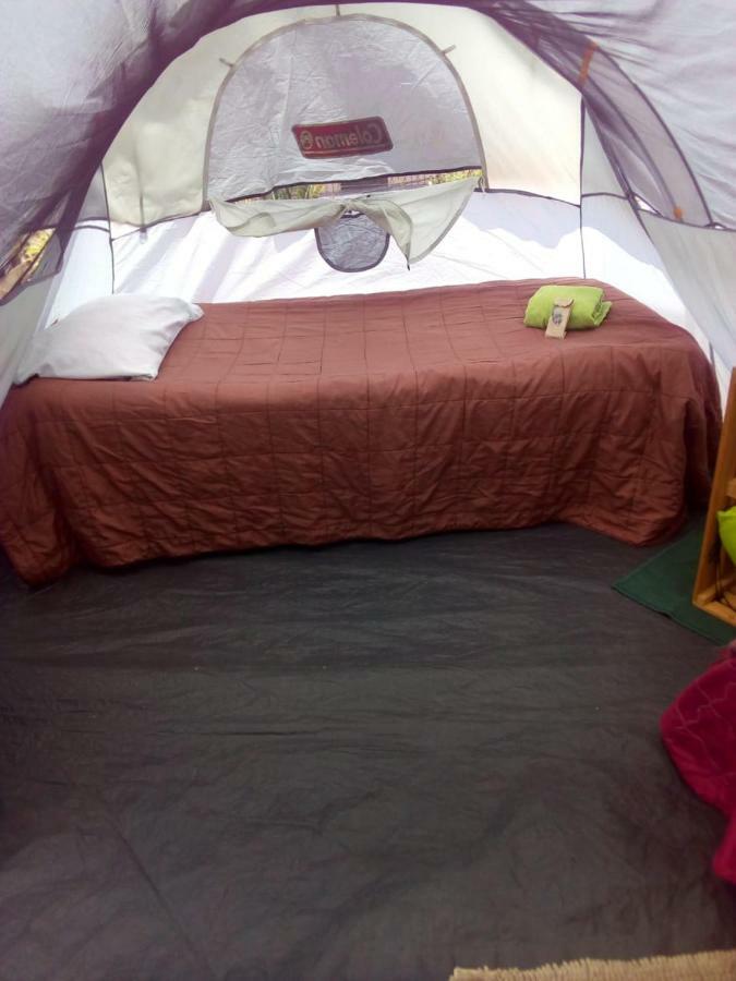 Camping & Travel Antigua Zewnętrze zdjęcie